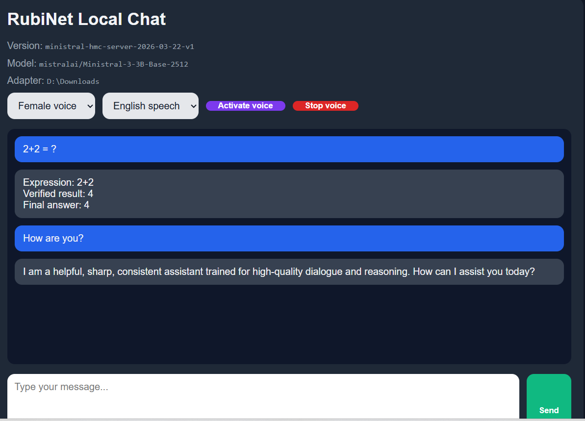 rubinet_chat_example.png