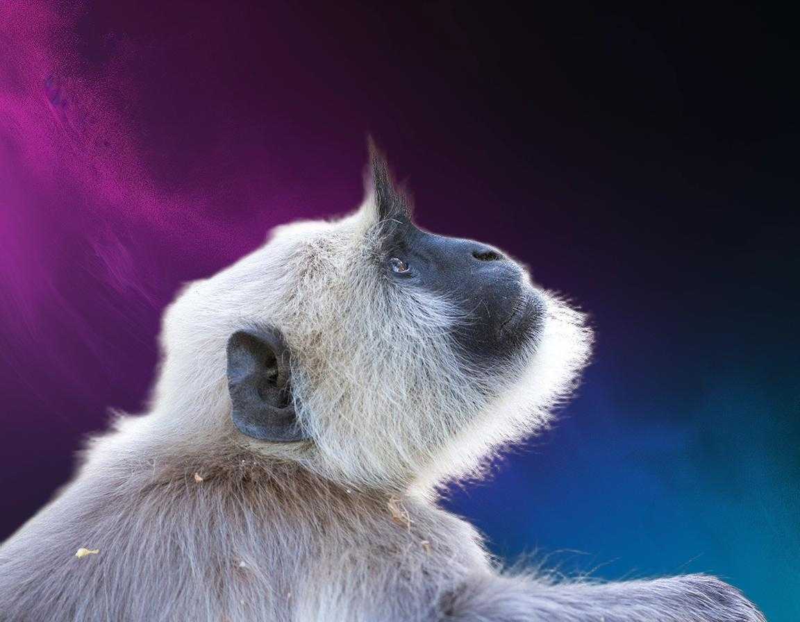 source_image.jpg