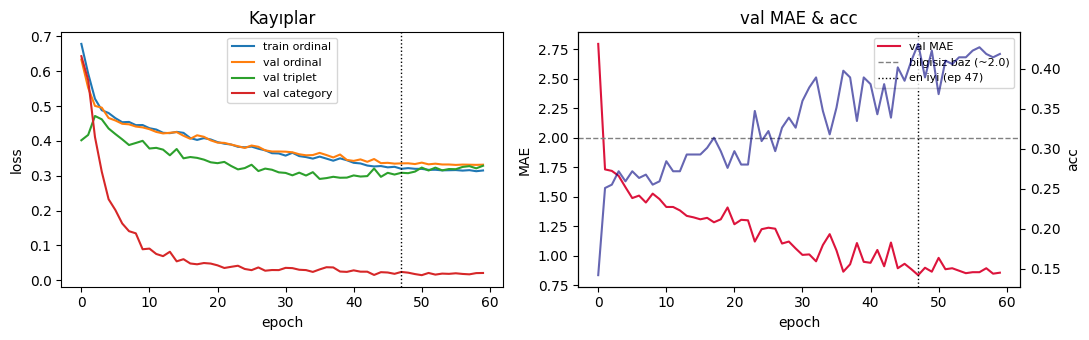 Training dynamics — loss and validation MAE/accuracy over epochs