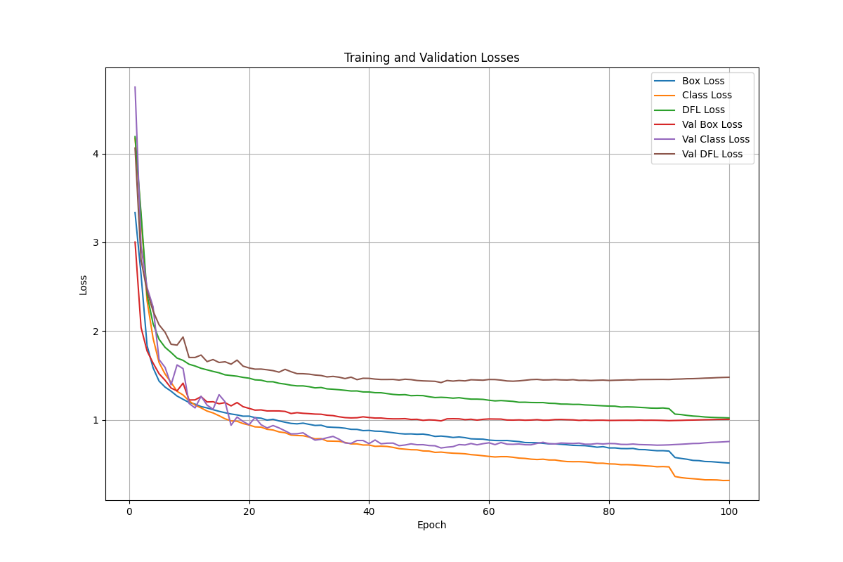 losses_plot.png