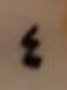 13.png