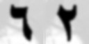 6.png