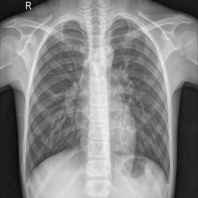 example3.jpg