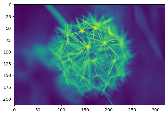 dandelion_output.png