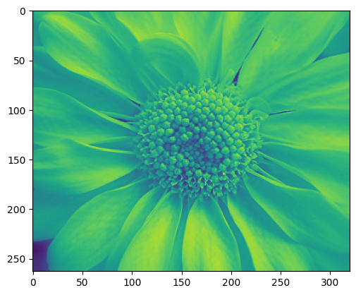 output_daisy.png