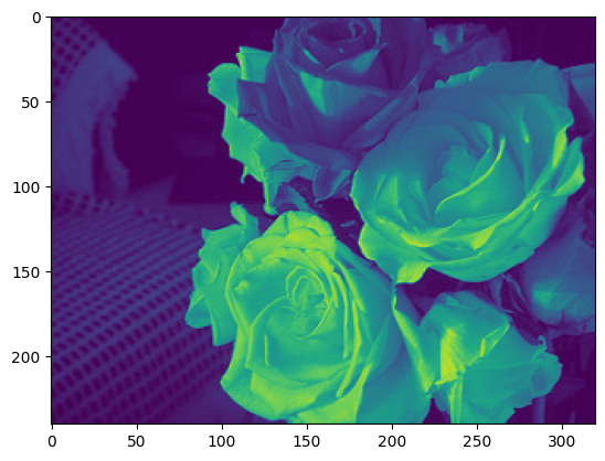 rose_output.png