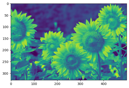 sunflower_output.png