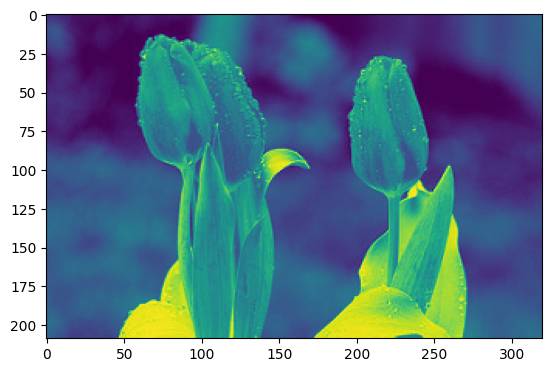 tulip_output.png