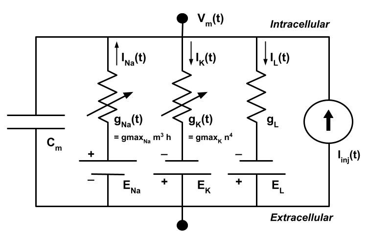 equivalentCircuit.png